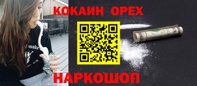 амф Гатчина