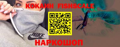 амф Гатчина