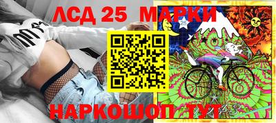 амф Гатчина