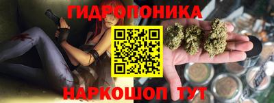 амф Гатчина
