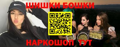 сатива Гай