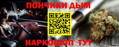 сатива Гай