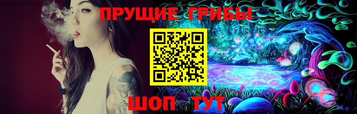Галлюциногенные грибы MAGIC MUSHROOMS  продажа наркотиков  Вход с VPN  Шелехов  Галлюциногенные грибы ЛСД 